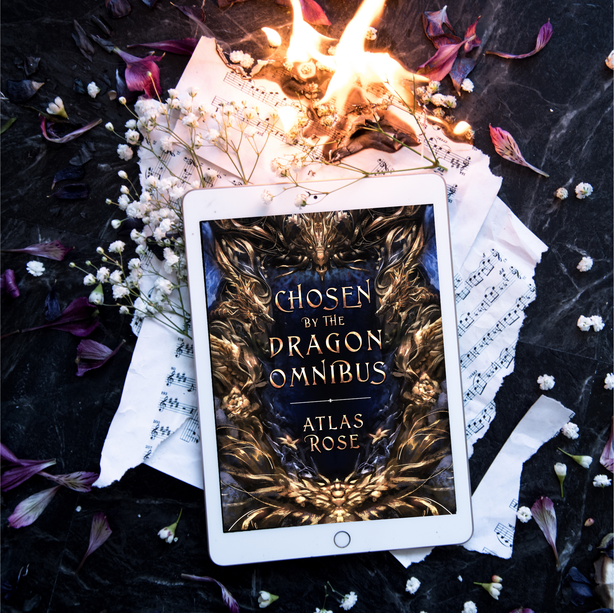 Dark Dragon Why Choose Romance