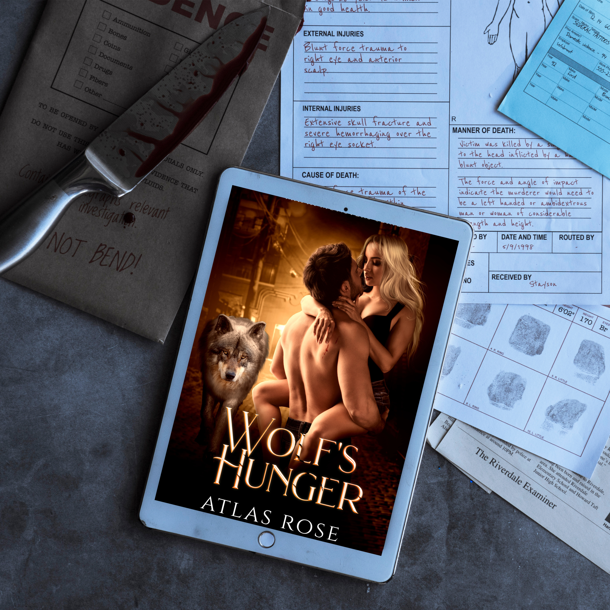 Wolf's Hunger Dark Mafia Shifter Romance 