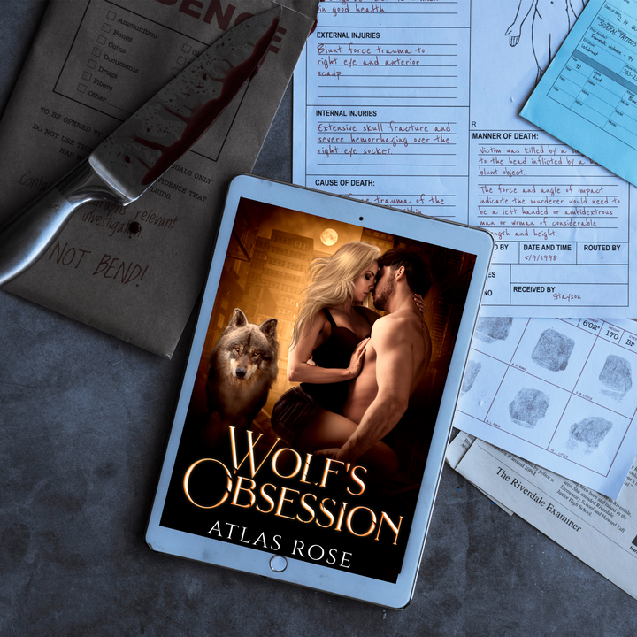 Wolf's Obsession Dark Why Choose Shifter Romance 